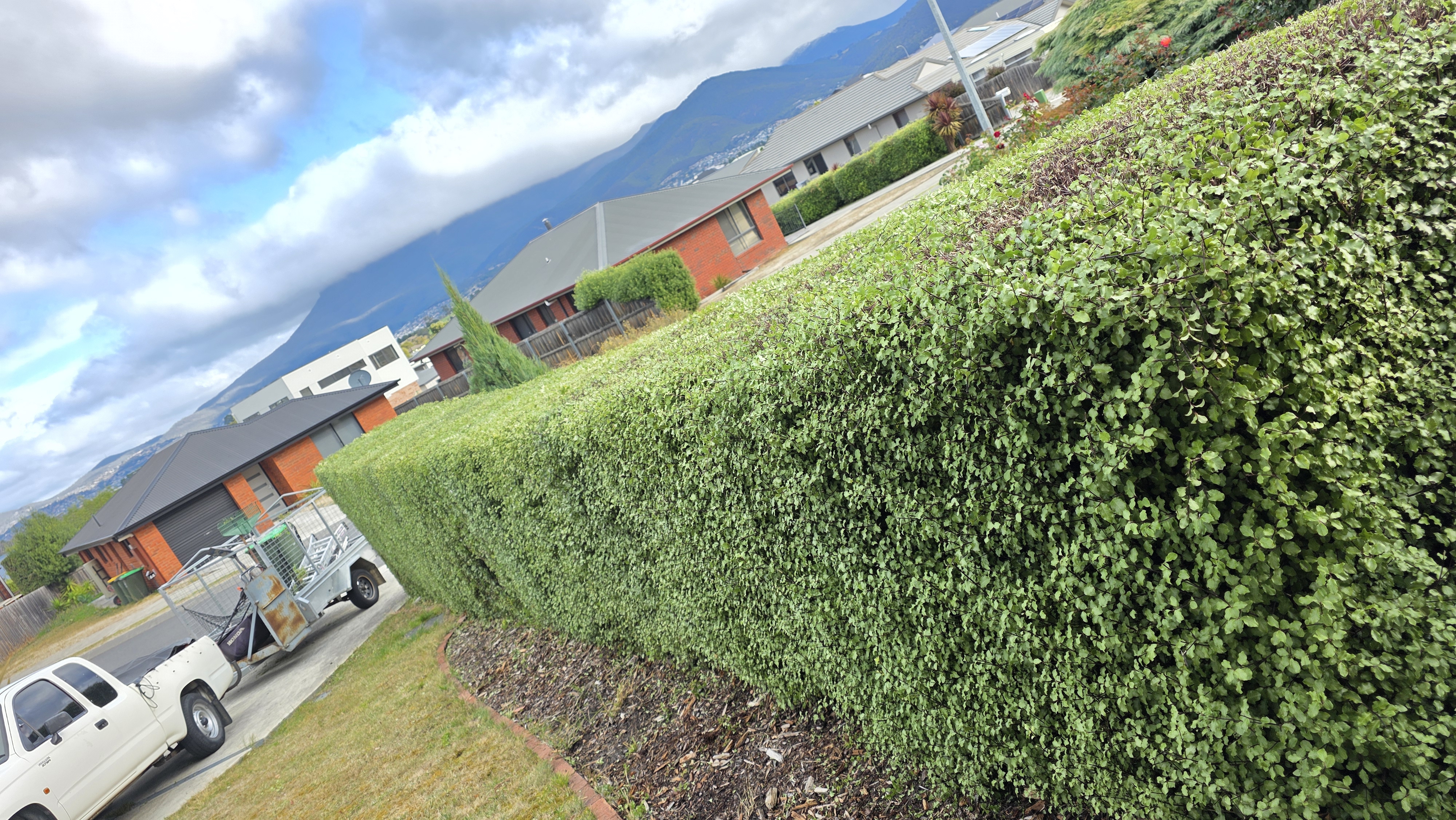 Sandy Gardening and landscaping - Image 2