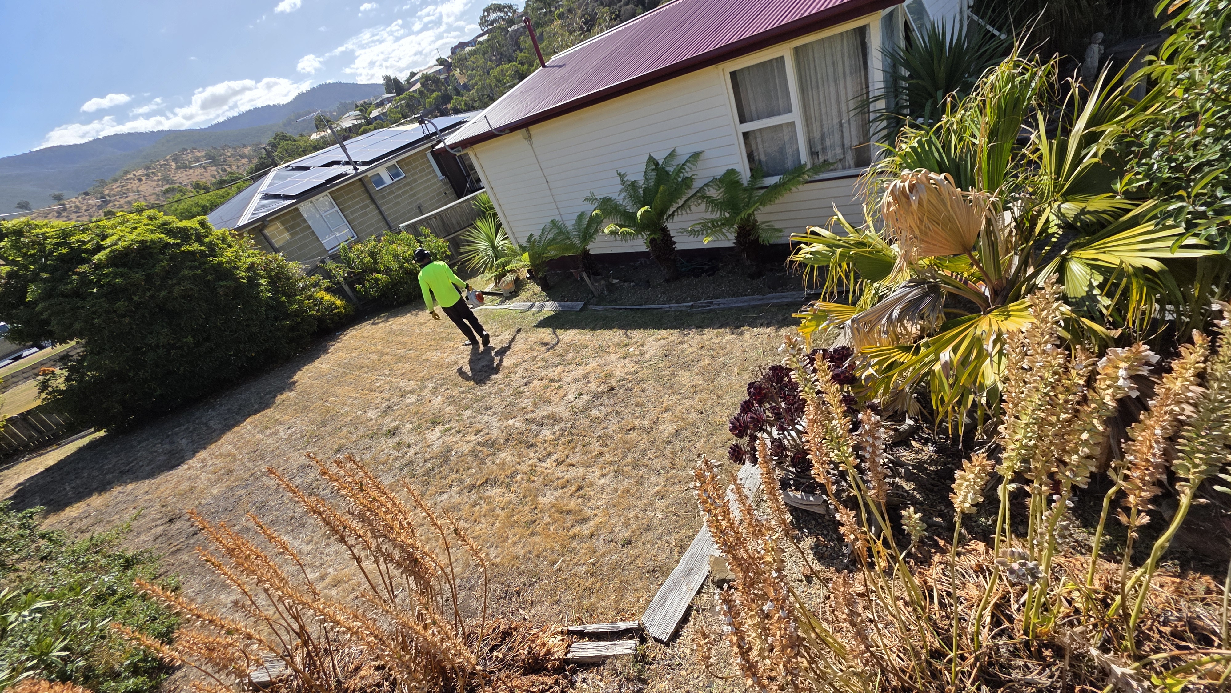 Sandy Gardening and landscaping - Image 5